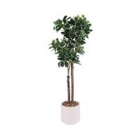 ราคา DECOS ต้นไม้เทียมไทรด่าง 90 ซม. รุ่น AP-2 ใบสีเขียว (10416439)