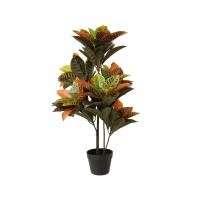 ราคา DECOS ต้นโกสนเทียม ขนาด 95 CM. รุ่น NAL19-0285 สีเขียวแดง (10424654)