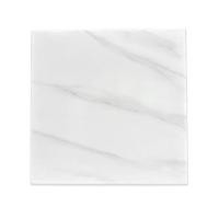 ราคา LION กระเบื้องพื้น เซรามิค 16x16 นิ้ว A รุ่น แสนแก้ว สีขาว (กล่อง 6) (10418371)