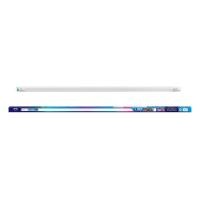 ราคา EVE หลอดนีออน LED T8 30W/D รุ่น SAFETY FIT (Day Light) (10432485)