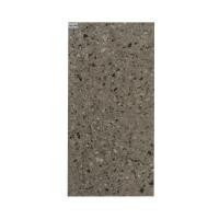 ราคา MARINE กระเบื้องผนัง เซรามิค 30x60 เซนติเมตร A รุ่น DARK TERRAZZO สีเทา (กล่อง 8) (10399903)