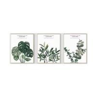 ราคา DECOS กรอบพร้อมรูปไม้ ชุด 3 ชิ้น รุ่น LEAF 40x60 ซม. สีเขียว (10432326)