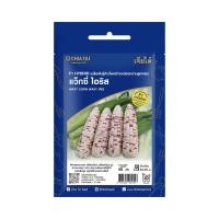 ราคา เจียไต๋ เมล็ดพันธุ์ข้าวโพดข้าวเหนียวหวานแว็กซี่ รุ่น SE (10433803)