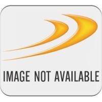 ราคา Dungeons & Dragons: Honor Among Thieves