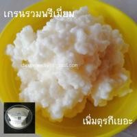 ราคา (ส่งkery ทุกวัน)​Kefir Grain พร้อมส่ง​ เกรนคีเฟอร์​นมพรีเมี่ยม​ ที่ดีที่สุด​ (2661047840)