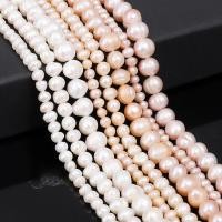 ราคา ลูกปัดไข่มุกสีชมพู / สีขาวสําหรับทําเครื่องประดับสร้อยคอสร้อยคอ Diy (6249609441)