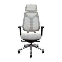 ราคา FURRADEC เก้าอี้ผู้บริหารพร้อมที่รองศีรษะ สีเทา เฟอร์ราเดค IMOVE-B (9427918815)