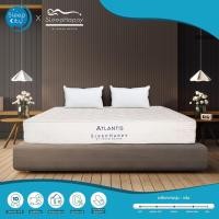 ราคา SleepHappy รุ่น Atlantis (แน่น) ที่นอนโรงแรมพ็อกเก็ตสปริงในกล่อง ที่นอนเพื่อสุขภาพ หนา10นิ้ว ส่งฟรีทั่วไทย (1457653593)
