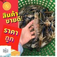 ราคา กุ้งแม่น้ำใหญ่ไซส์12-14ตัว/โล[น้อคน้ำแข็งใส่โฟมอย่างดี] (8811325678)