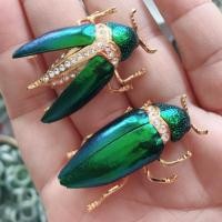 ราคา เข็มกลัดแมลงทับ(ปีกแท้) (2297789711)