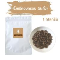 ราคา Cricketthai จิ้งหรีดอบกรอบ สะดิ้งอบกรอบ แมลงอบกรอบ จิ้งหรีดอบแห้ง สะดิ้งอบแห้ง แมลงอบแห้ง ขนาด 1 กิโลกรัม (3888946702)