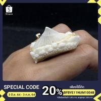 ราคา หัวกระเบนท้องน้ำ ขนาดหัวใหญ่ยาว 3 ซม (สินค้าพร้อมใบครอบครองทุกชิ้น) (5690282676)