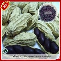 ราคา 250 กรัม ถั่วลิสงเพชรดำ ถั่วลิสงดำ (black peanuts) ถั่วลิสง ถั่วเพชรดำ เมล็ดพันธุ์ถั่วลิสงเพชรดำ (7256320474)