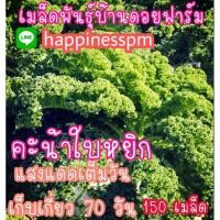 ราคา เมล็ด​พันธุ์​ เคล​ (บลูเคล)​ คะน้าใบหยิก​ Blue​ Kale 150เมล็ด​ (4537626062)