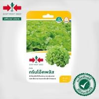 ราคา ศรแดง กรีนโอ๊คพลัส เมล็ดพันธุ์ผักสลัด (East-West Seed) เมล็ดพันธุ์ผัก เมล็ดพันธุ์ ผักสวนครัว ผักสลัด ตราศรแดง (7035815494)