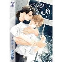 ราคา สถาพรบุ๊คส์ หนังสือ นิยาย นิยายวาย Love Storm พายุรักโถมใจ โดย MAME พร้อมส่ง พรีปกใส (4615059543)
