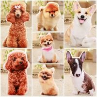 ราคา หมอนหมา 3 มิติ ขนาด 50-55 cm. หมอนหมาพันธ์ุเล็ก (1872551581)