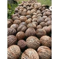 ราคา ลูกตีนเป็ด เริ่ม4บ. แพคละ30ลูก (3878747598)