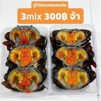 ราคา ปูไข่ดองน้ำปลา Set 3 ตัว ปูตัวละ 140 กรัม (8725865027)