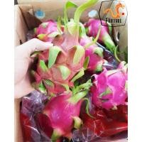 ราคา แก้วมังกร นำเข้าจากเวียดนามแท้ DRAGON FRUIT 4ลูก นำเข้า Vietnam ลดพิเศษ สดใหม่ แคลอรี่ต่ำ แก้วมังกรสีขาว (4336058605)