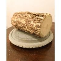 ราคา ไม้ทานาคา หินฝน ของแท้100 ทานาคาพม่าแท้ ทานาคา (13515611337)