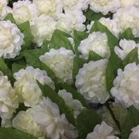 ราคา ดอกมะลิ ติดหน้าอก วันแม่ (2585747509)