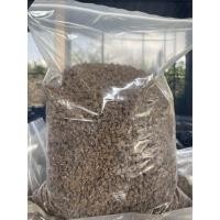 ราคา ขายราคาส่ง ถูกที่สุด!!! เมล็ดพันธุ์มะละกอ แขกนวลดำเนิน ต้นเตี้ย จากสวนโดยตรง (7389483415)