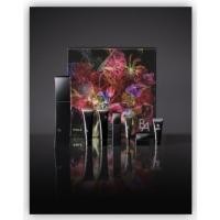 ราคา Pola B.A Lotion Christmas Collection Set (4152473532)