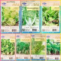 ราคา เมล็ดพันธุ์ผัก เจียไต๋ ผักซอง ผักกาดขาวใหญ่ ผักกาดขาวปลี ผักกาดเขียวปลี ผักบุ้งจีน คึ่นฉ่าย ผักบุ้งแก้ว ชุนฉ่าย คื่นฉ่าย (4532386619)
