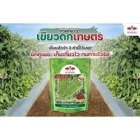 ราคา ถั่วฝักยาวเขียวดกเกษตร *ทนทานไวรัส* ขนาด 500 กรัม ศรแดง ถั่วเนื้อ พันธุ์ถั่วเนื้อ เมล็ดพันธุ์ถั่วฝักยาว (2969121086)