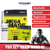 ราคา VITAXTRONG BAAM MASS V1 WHEY PROTEIN เวย์โปรตีน ขนาด 12 LBS เพิ่มน้ำหนัก/สร้างกล้ามเนื้อ (1891513473)