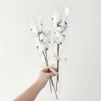 ราคา ดอกฝ้าย ดอกไม้แห้ง ดอกไม้แห้งสำหรับแซมช่อดอกไม้ ช่อดอกไม้แห้ง (23705240691)