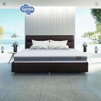 ราคา ที่นอนซักได้ ที่นอนปลอดเชื้อไวรัส ขนาด 3.5 ฟุต รุ่น Synda Hygienatic (8153651845)