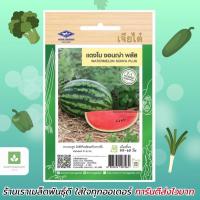 ราคา แตงโม ซอนญ่า พลัส เจียไต๋ เมล็ดแตงโม เมล็ดพันธุ์แตงโม ซอนญ่าพลัส (1860937797)