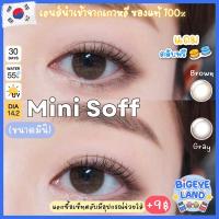 ราคา คอนแทคเลนส์ Mini Soff Brown (Kitty Kawaii) ขนาดมินิ (5076127855)