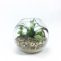 ราคา สวนโหลแก้ว แคคตัสปลอม สวนจำลองในโหลแก้วใสทรงกลม (3554868855)