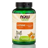 ราคา [แบ่งขาย] Lysine Cat ไลซีนแมว แบบผง เสริมภูมิแมว EXP: 04/2024 (5773213121)