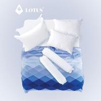 ราคา LOTUS รวมชุดผ้าปู + ผ้านวม รุ่น Soulmate สัมผัสนุ่มลื่น ส่งฟรี (10213114744)