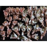 ราคา ช่อดอกไม้แห้ง ดอกฝ้ายขนาดไซส์เล็ก 20-25 cm (4404610797)