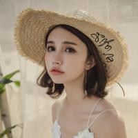 ราคา หมวกปีกกว้าง หมวกใส่เที่ยว พร้อมส่ง E010 (4834713085)