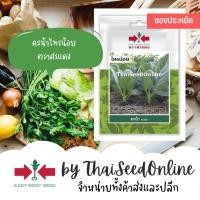 ราคา VP3 ซฟ เมล็ดพันธุ์ คะน้ายอด ไทรน้อย 1700เมล็ด ตราศรแดง ซอง 10บาท Chinese Kale (1370068636)