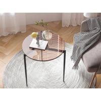 ราคา โต๊ะกาแฟกระจก กระจกนิรภัย เหล็กกล้าไร้สนิม โต๊ะข้าง โต๊ะวางถาด พร้อมส่งทันที Modern Coffee Table Tempered Glass Table (20280555764)