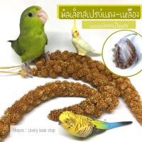 ราคา มิลเล็ตสเปรย์ อาหารนก [สั่งอย่างเดียวขั้นต่ำ 3 พวง] มิลเล็ตสเปรย์แดง millet spray หนู แฮมสเตอร์ ฟอพัส หงส์หยก ค็อกคาเทล (12007816617)