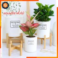 ราคา กระถางต้นไม้สีขาว พร้อมขาตั้งไม้ กระถางต้นไม้ไม่ต้องรดน้ำ กระถางต้นไม้ไม่รดน้ำ กระถางต้นไม้ไม่ต้องรดน้ำขนาดใหญ่ (3580089781)