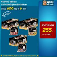 ราคา Cesar ซีซาร์ มัลติแพคทุกสูตร ขนาด 100 กรัม (x6ถาด) (4435522309)