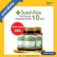ราคา 3กระปุก Clover Plus Multi B+ Ginkgo มัลติบี พลัส จิงโกะ ใบแป๊ะก๊วย อาหารเสริมช่วยบำรุงสมอง 3กระปุก (3958600120)