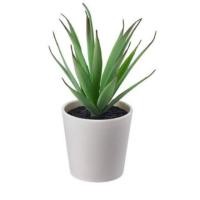 ราคา IKEA Fejka ขนาดเล็ก ต้นไม้ประดิษฐ์ ต้นไม้ปลอม ตกแต่งบ้าน (2811837112)