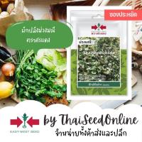 ราคา VP3 ซฟ เมล็ดพันธุ์ ผักปลังม่วง ม่วงมณี 50เมล็ด ตราศรแดง Purple Ceylon Spinach (1370068715)