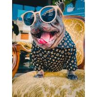 ราคา ✨พร้อมส่ง✨เสื้อหมา เสื้อแมว ชุดนอนหมาแมวสกรีนลายสีน้ำตาลทอง เท่ๆ (7690239264)