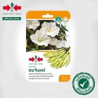 ราคา ศรแดง เมล็ดพันธุ์ดอกพระจันทร์ ชมจันทร์ (East-West Seed) เมล็ดพันธุ์ผัก เมล็ดพันธุ์ ผักสวนครัว ตราศรแดง (6235812862)